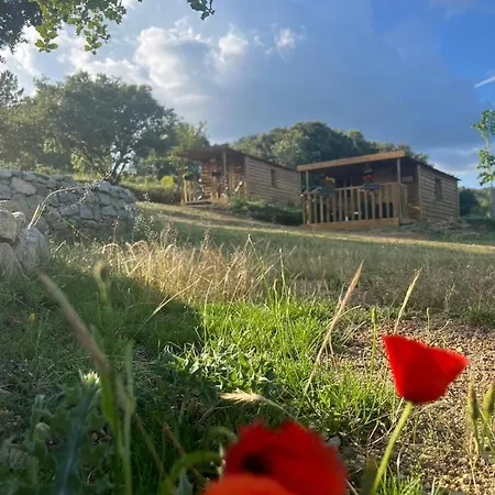 Lodge La De Mercone Crenu Corte (Corsica)