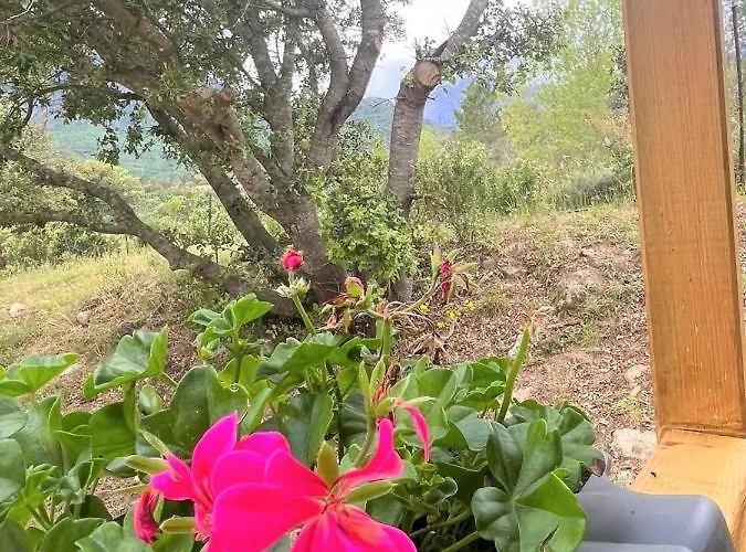 La De Mercone Crenu אכסניה